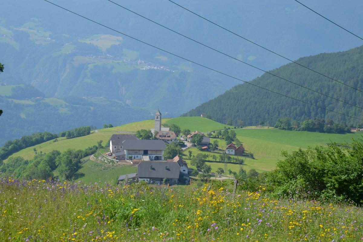 Rielingerhof 06.06.2019